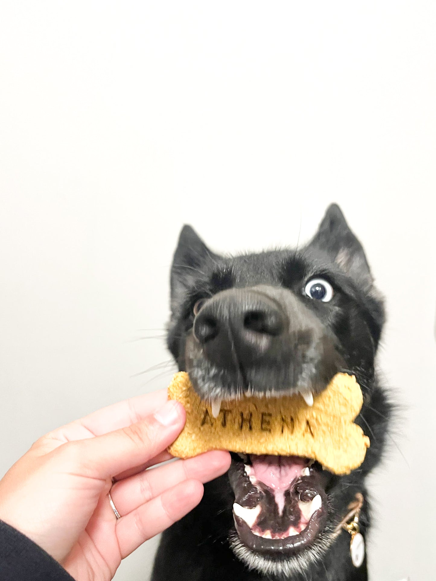 Custom Dog Bones