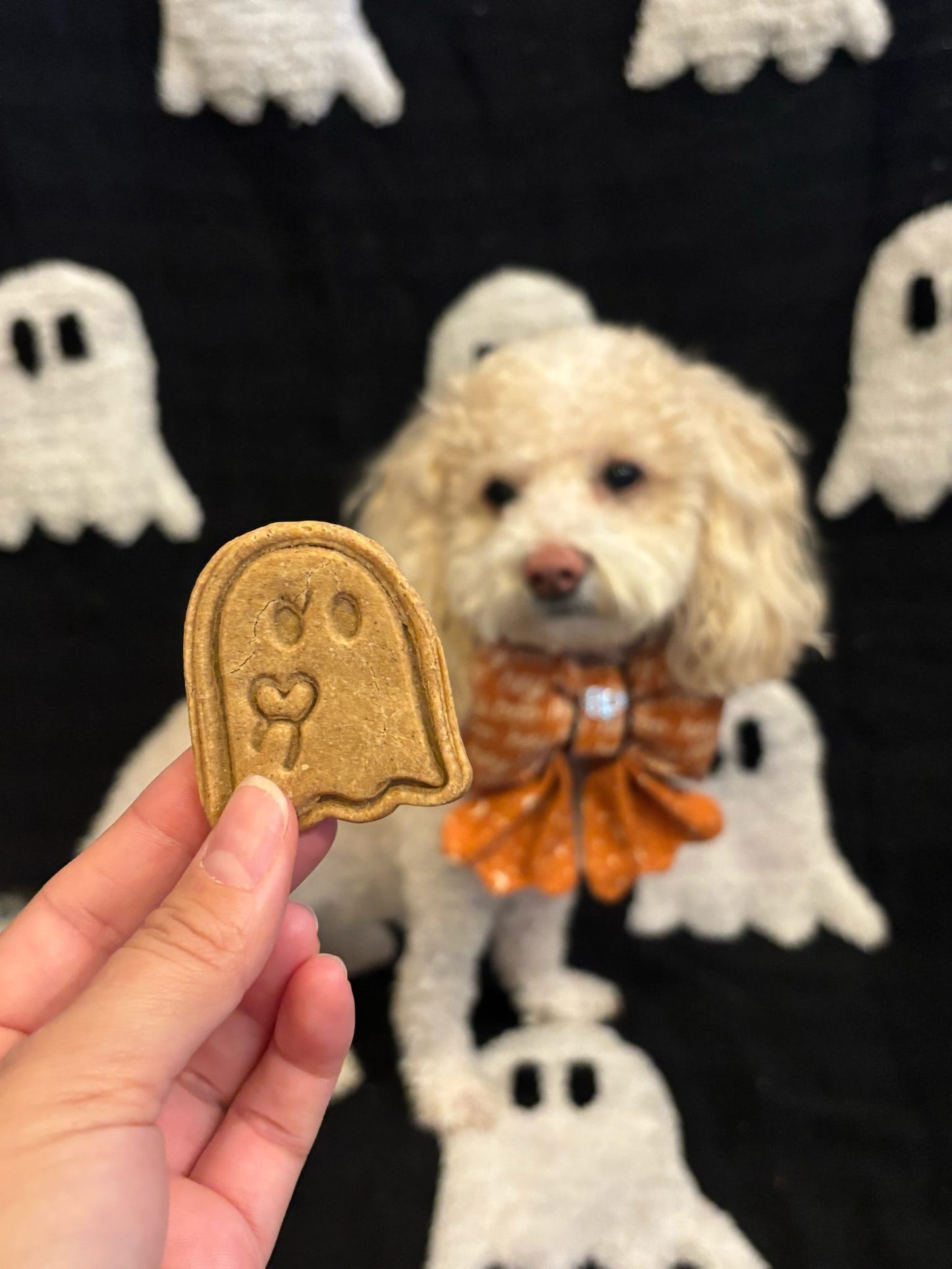 Spooky Ghost Dog Biscuit 3Pack