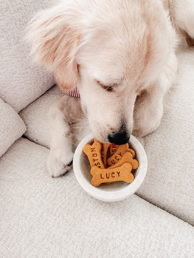 Custom Dog Bones
