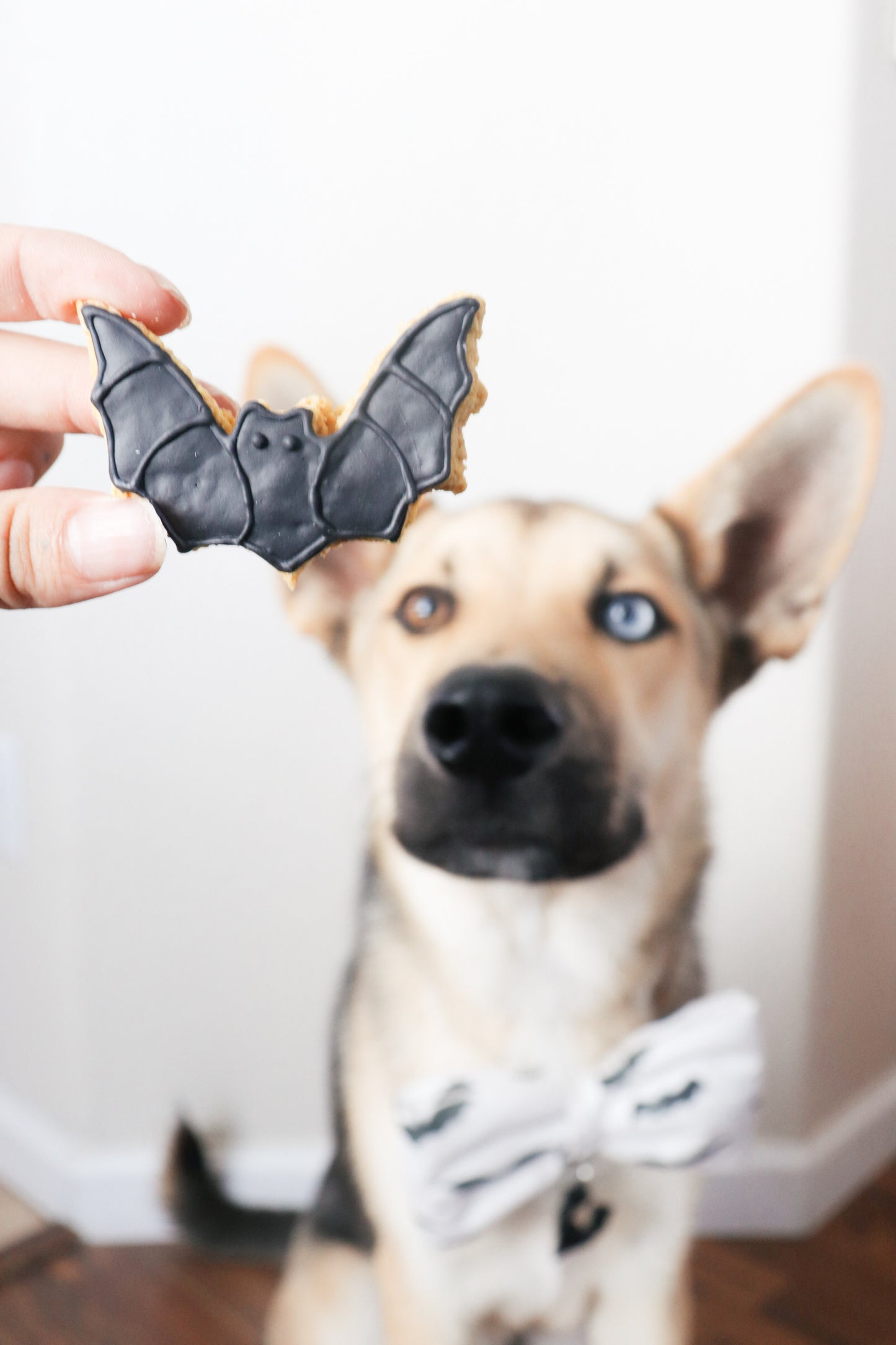 Bat Dog Cookie
