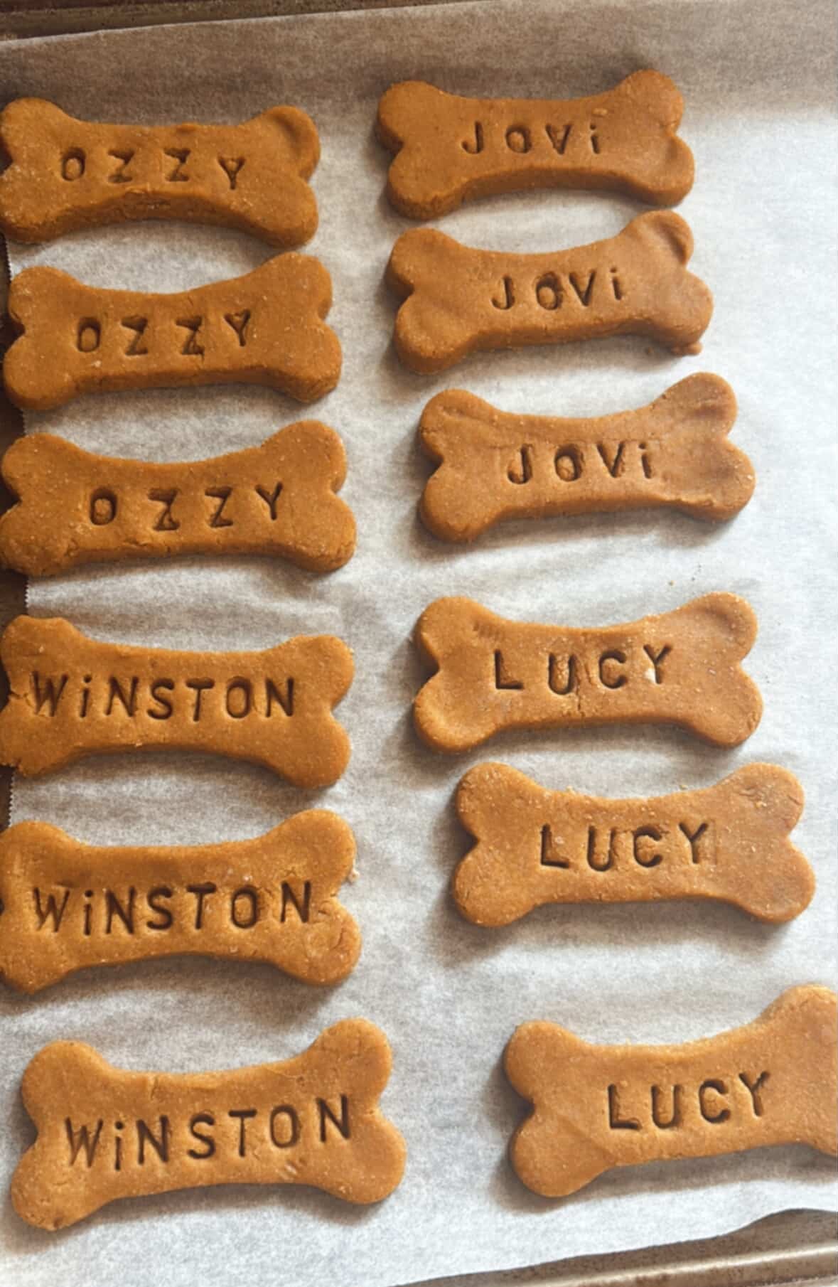 Custom Dog Bones