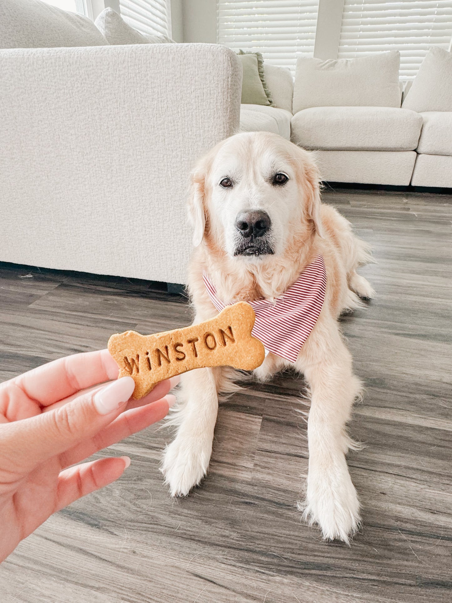 Custom Dog Bones